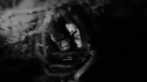 Sleep Token fait paraître la chanson Give