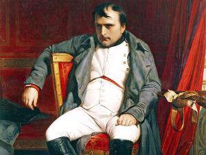 Napoleon est de retour
