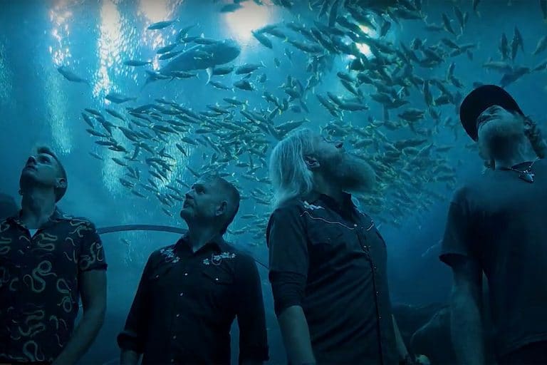 Mastodon se produira en acoustique au Georgia Aquarium