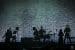 Wardruna