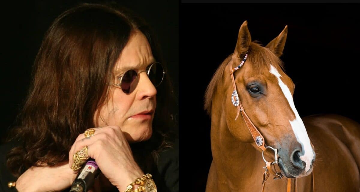 Ozzy Osbourne dit qu&rsquo;il a arrêté le LSD après avoir parlé à un cheval pendant plus d&rsquo;une heure