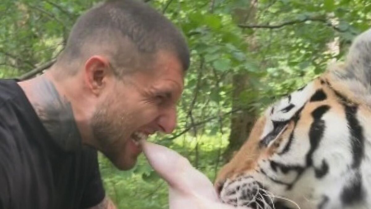 Alex Terrible de Slaughter To Prevail perd un bout de dent lors d&rsquo;un affrontement avec un tigre