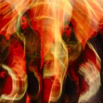 “C’est sombre et ça vous vise directement” : Converge frappe fort avec Doom In Bloom