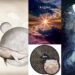 10 albums cultes de metal et de rock français à écouter au moins une fois dans sa vie